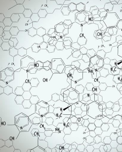 La β-glucosidase hydrolyse la glucovanilline Les tissus cellulaires se désorganisent sous l'effet de la chaleur Les enzymes libèrent progressivement la vanilline La fermentation affine le profil aromatique