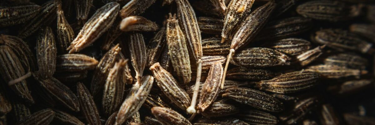 des graines de cumin