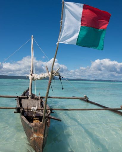 Madagascar domine largement le marché mondial de la vanille, produisant environ 80% de la production globale.